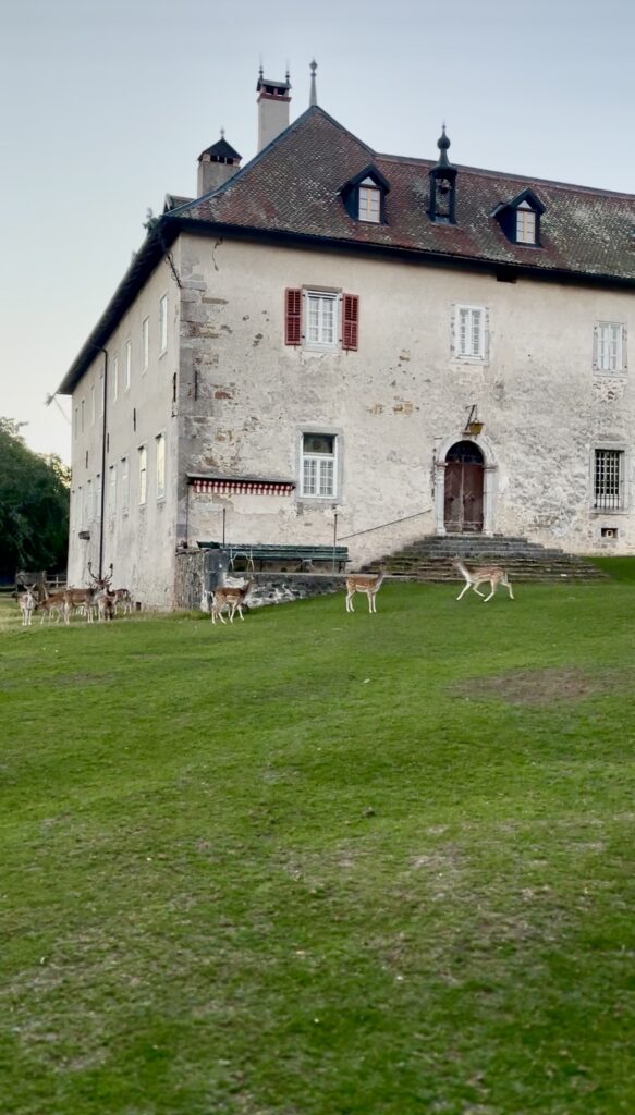 Bâtiment principal du domaine où se déroule la retraite breathwork en Gruyère
