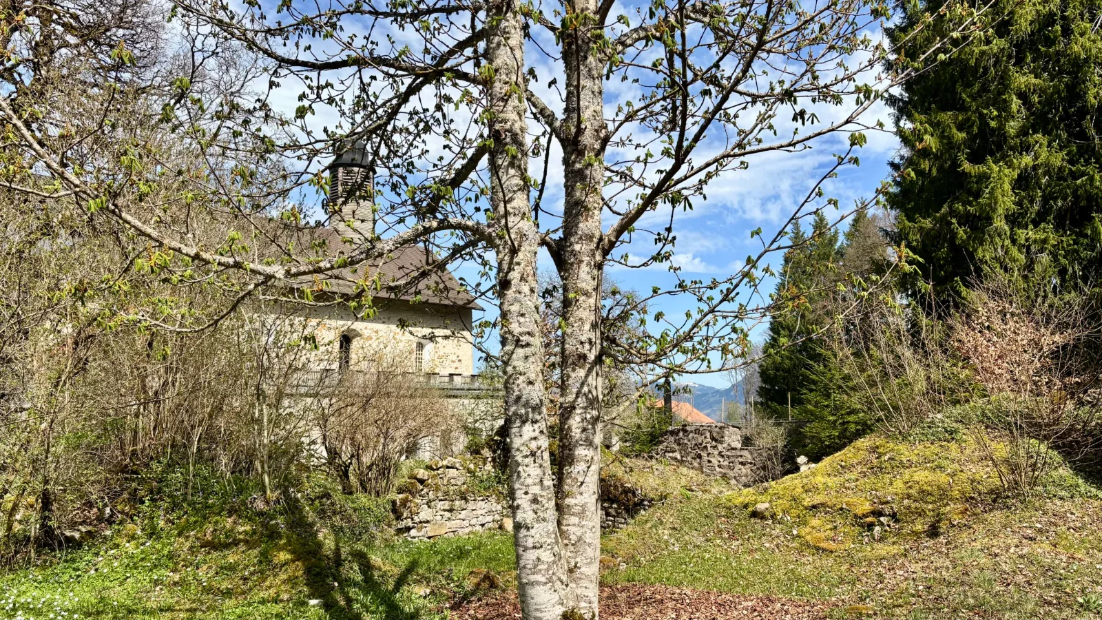 Arbres au printemps dans le parc du domaine de la retraite
