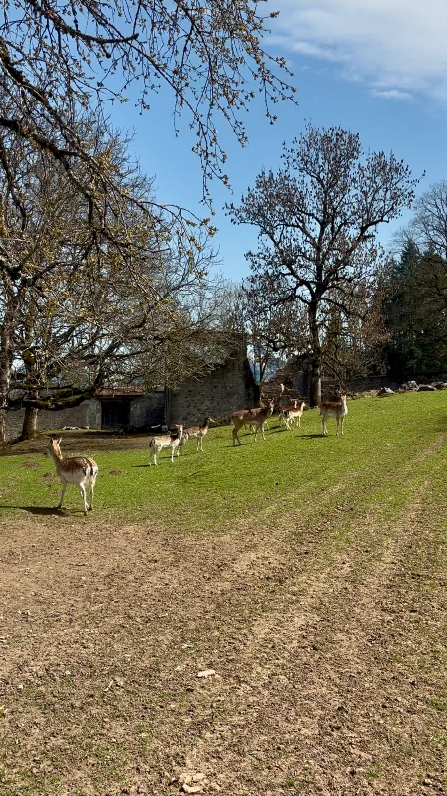 Parc du domaine de la retraite au printemps